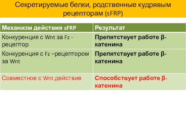 Секретируемые белки, родственные кудрявым рецепторам (sFRP)