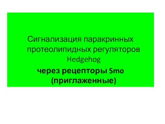 Сигнализация паракринных протеолипидных регуляторов Hedgehog через рецепторы Smo (приглаженные)