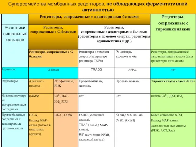 Суперсемейства мембранных рецепторов, не обладающих ферментативной активностью