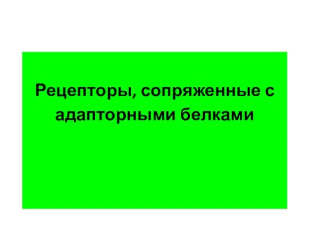 Рецепторы, сопряженные с адапторными белками