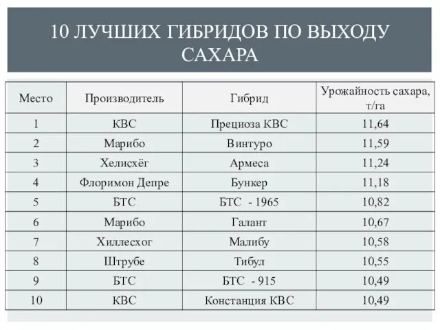 10 ЛУЧШИХ ГИБРИДОВ ПО ВЫХОДУ САХАРА