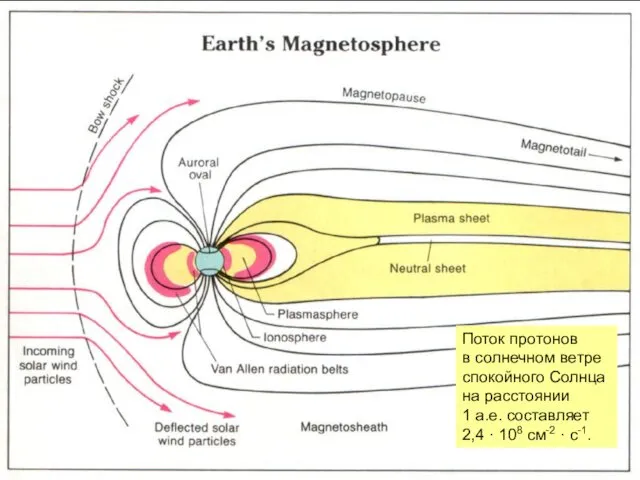 Поток протонов в солнечном ветре спокойного Солнца на расстоянии 1 а.е.