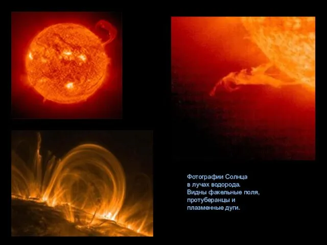 Фотографии Солнца в лучах водорода. Видны факельные поля, протуберанцы и плазменные дуги.