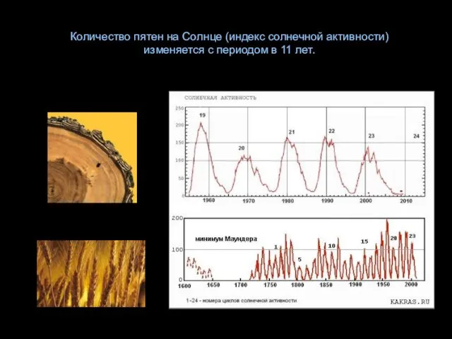 Количество пятен на Солнце (индекс солнечной активности) изменяется с периодом в 11 лет.