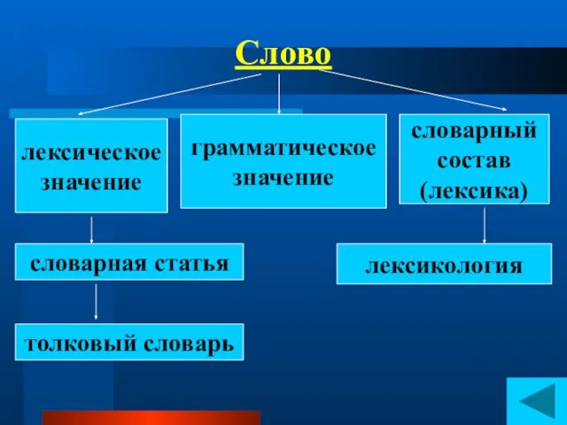 Слово лексическое значение грамматическое значение словарный состав (лексика) словарная статья лексикология толковый словарь