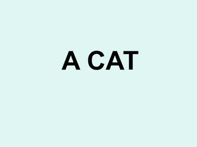 A CAT