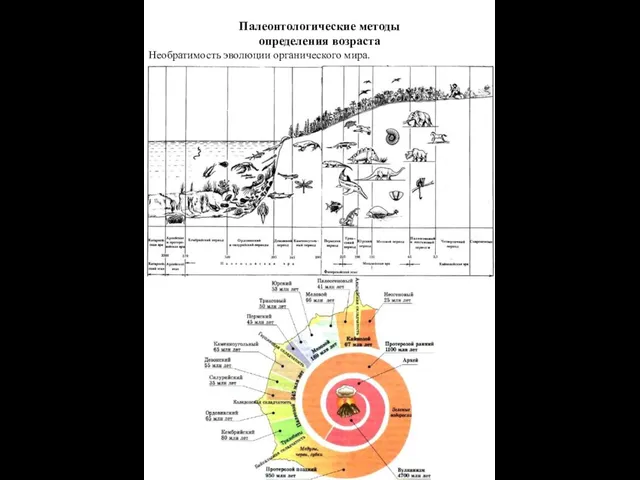 Палеонтологические методы определения возраста Необратимость эволюции органического мира.