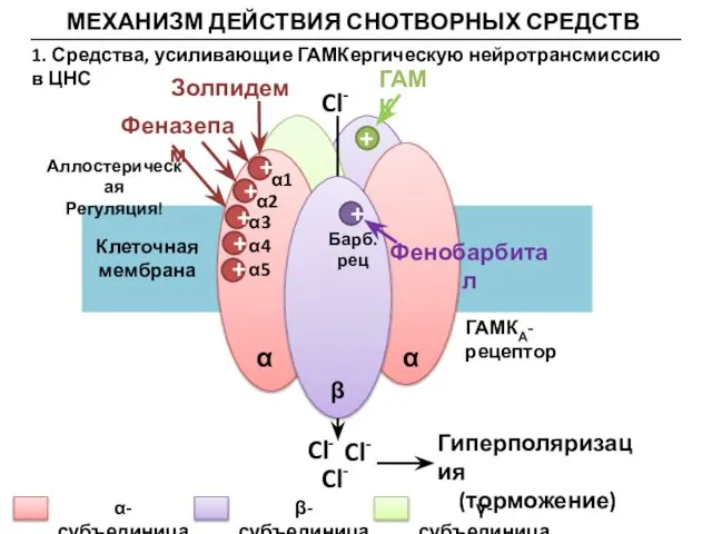 МЕХАНИЗМ ДЕЙСТВИЯ СНОТВОРНЫХ СРЕДСТВ 1. Средства, усиливающие ГАМКергическую нейротрансмиссию в ЦНС