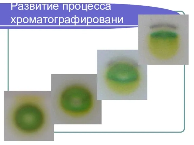 Развитие процесса хроматографирования во времени: