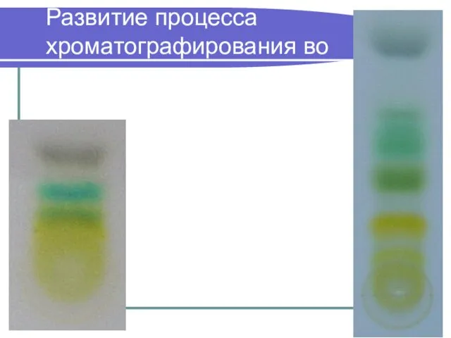 Развитие процесса хроматографирования во времени: