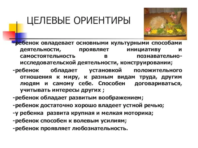 ЦЕЛЕВЫЕ ОРИЕНТИРЫ -ребенок овладевает основными культурными способами деятельности, проявляет инициативу и