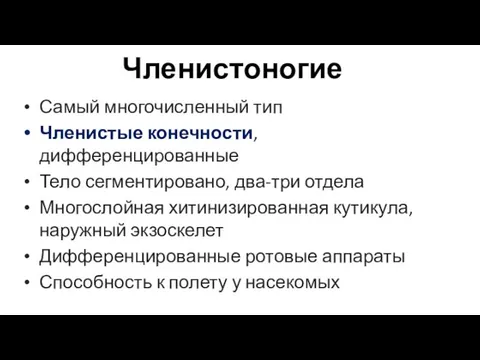 Членистоногие Самый многочисленный тип Членистые конечности, дифференцированные Тело сегментировано, два-три отдела