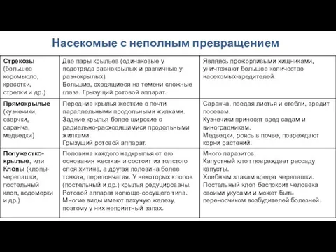 Насекомые с неполным превращением