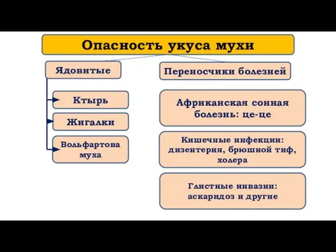 Опасность укуса мухи Жигалки Переносчики болезней Африканская сонная болезнь: це-це Ядовитые