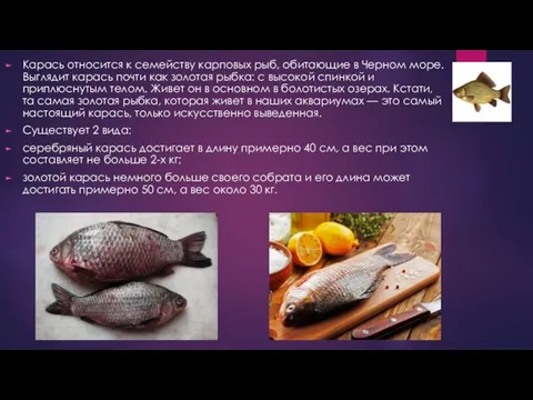 Карась относится к семейству карповых рыб, обитающие в Черном море. Выглядит