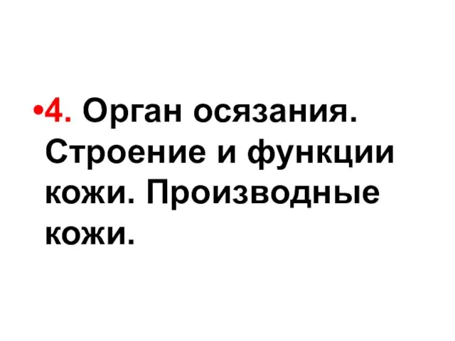 4. Орган осязания. Строение и функции кожи. Производные кожи.