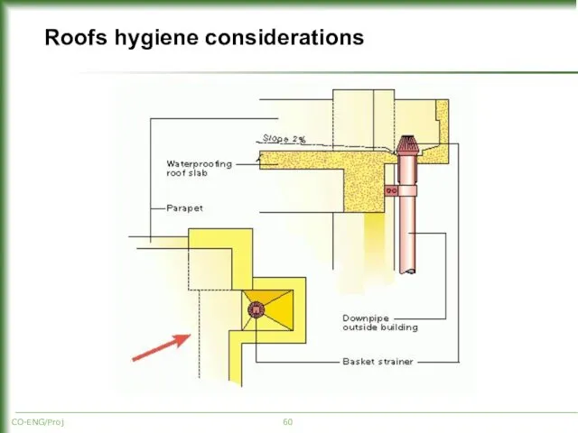 CO-ENG/Proj Roofs hygiene considerations