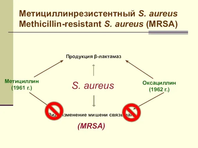 Метициллинрезистентный S. aureus Methicillin-resistant S. aureus (MRSA) S. aureus Продукция β-лактамаз