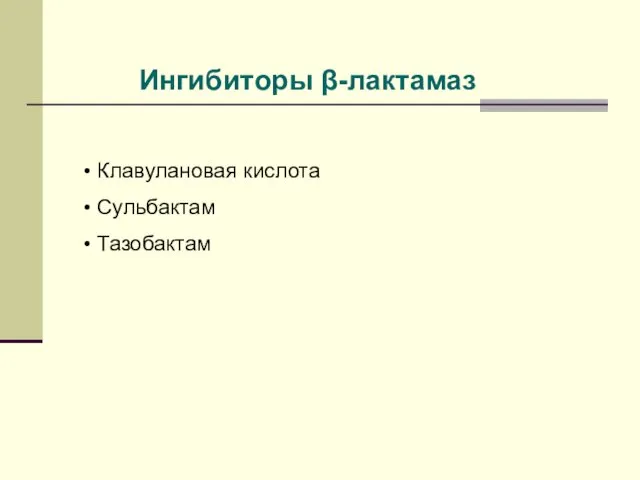 Ингибиторы β-лактамаз Клавулановая кислота Сульбактам Тазобактам