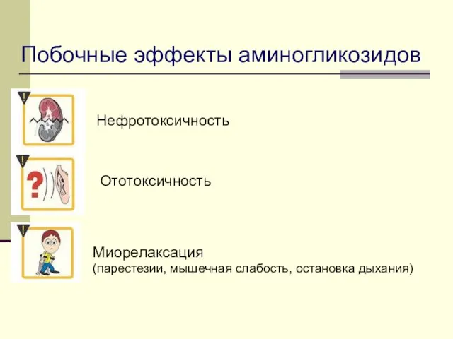 Побочные эффекты аминогликозидов Нефротоксичность Миорелаксация (парестезии, мышечная слабость, остановка дыхания) Ототоксичность