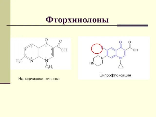 Фторхинолоны Налидиксовая кислота Ципрофлоксацин