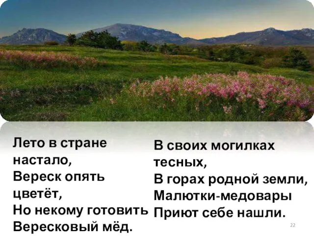 Лето в стране настало, Вереск опять цветёт, Но некому готовить Вересковый