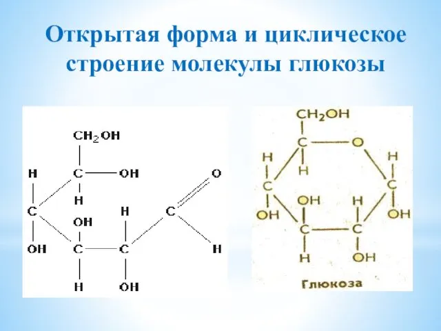 Открытая форма и циклическое строение молекулы глюкозы