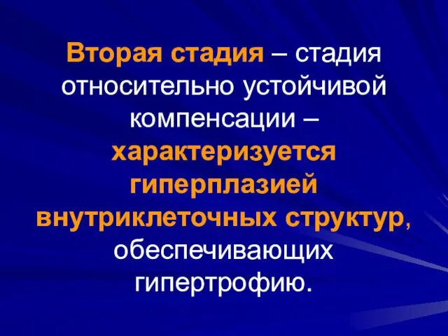 Вторая стадия – стадия относительно устойчивой компенсации – характеризуется гиперплазией внутриклеточных структур, обеспечивающих гипертрофию.