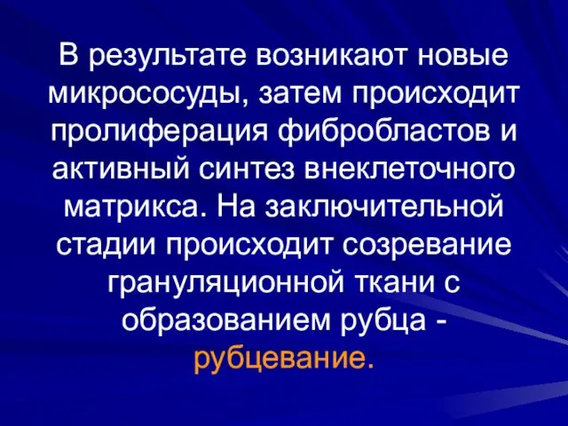 В результате возникают новые микрососуды, затем происходит пролиферация фибробластов и активный