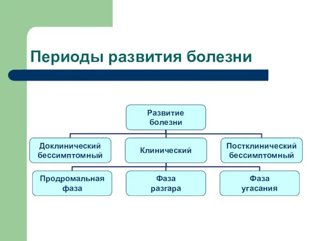 Периоды развития болезни