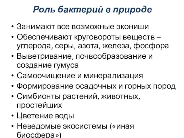 Роль бактерий в природе Занимают все возможные экониши Обеспечивают круговороты веществ