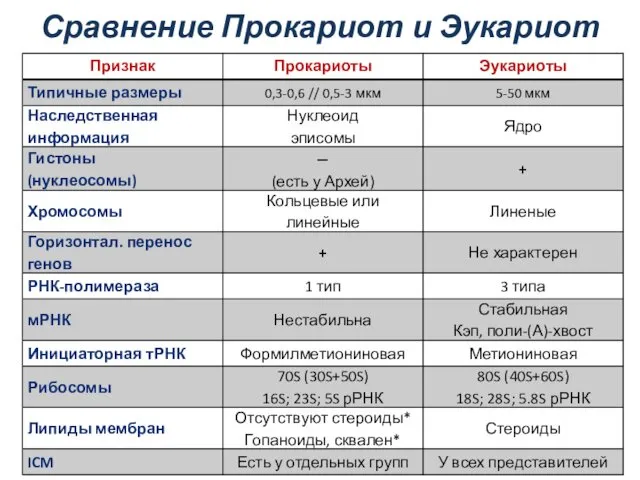 Сравнение Прокариот и Эукариот