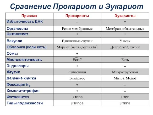 Сравнение Прокариот и Эукариот ̶ ̶