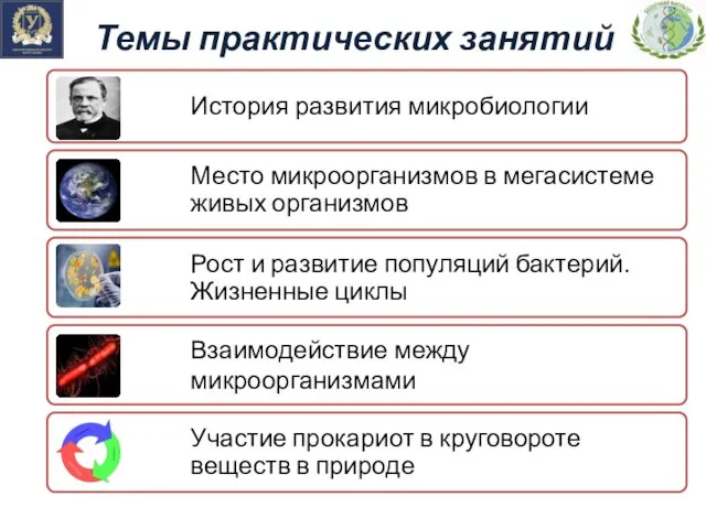 Темы практических занятий