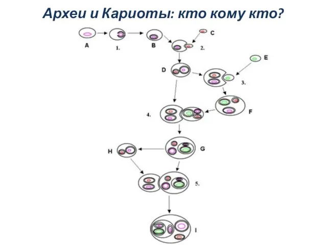 Археи и Кариоты: кто кому кто?