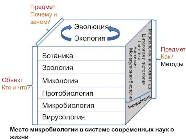 Ботаника Зоология Микология Протобиология Микробиология Вирусология Молекулярная биология Биохимия Цитология и