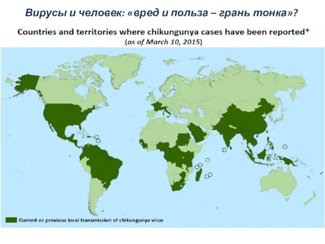 Вирусы и человек: «вред и польза – грань тонка»?