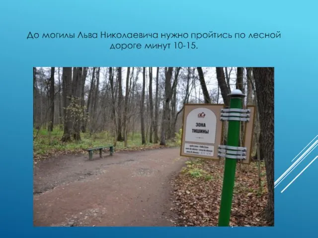 До могилы Льва Николаевича нужно пройтись по лесной дороге минут 10-15.