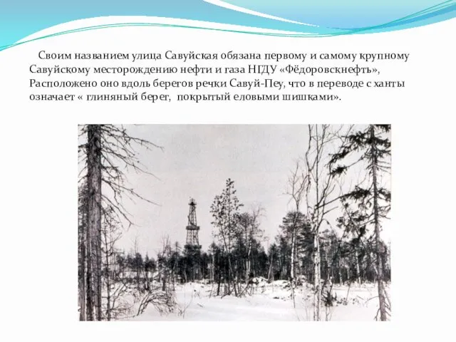 Своим названием улица Савуйская обязана первому и самому крупному Савуйскому месторождению