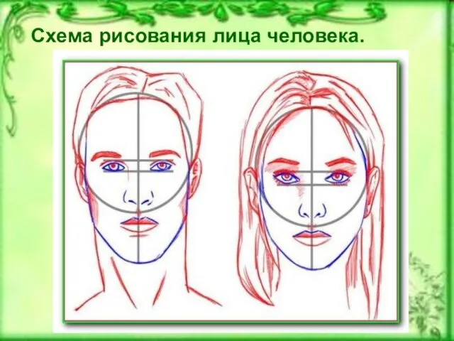 Схема рисования лица человека. Лица человека.