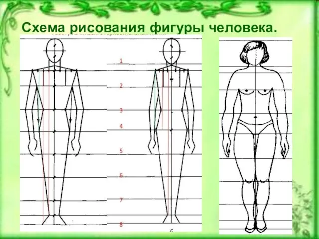 Схема рисования фигуры человека.