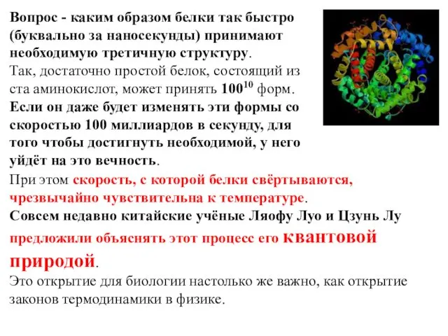 Вопрос - каким образом белки так быстро (буквально за наносекунды) принимают