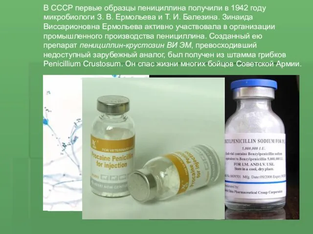 В СССР первые образцы пенициллина получили в 1942 году микробиологи З.