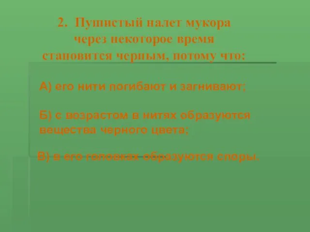 2. Пушистый налет мукора через некоторое время становится черным, потому что: