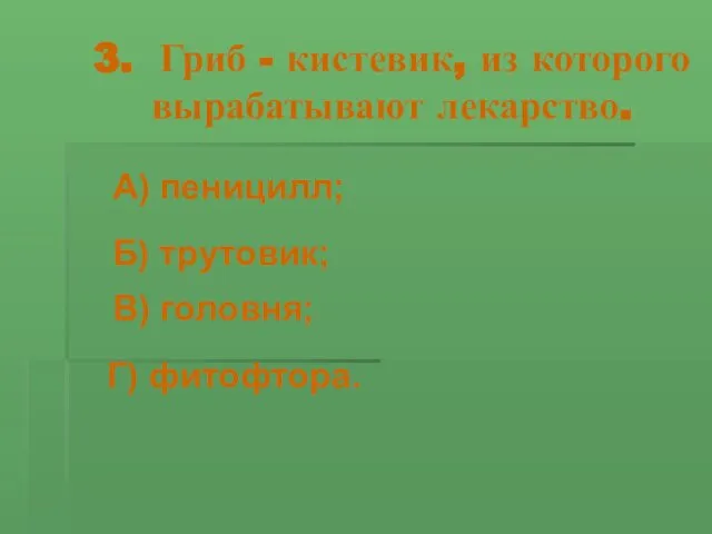 3. Гриб - кистевик, из которого вырабатывают лекарство. А) пеницилл; Б) трутовик; В) головня; Г) фитофтора.