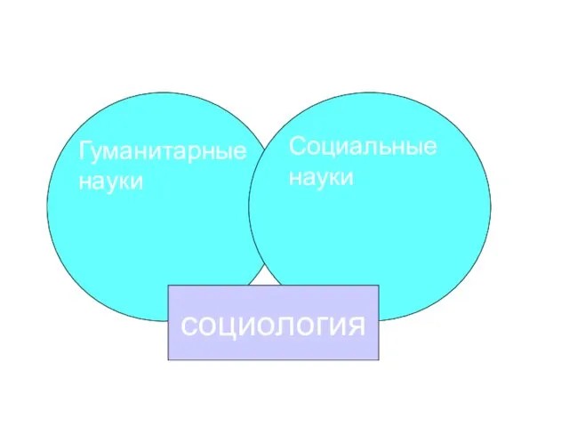 социология Гуманитарные науки Социальные науки