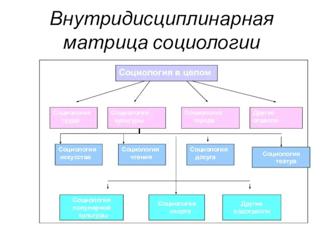 Внутридисциплинарная матрица социологии Социология популярной культуры Социология спорта Другие подотрасли Социология театра