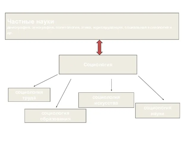 Частные науки демография, этнография, политология, этика, юриспруденция, социальная психология и др.
