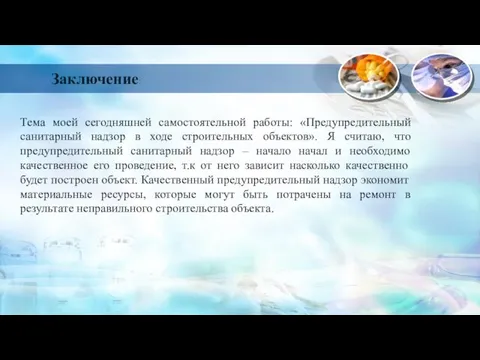 Заключение: Тема моей сегодняшней самостоятельной работы: «Предупредительный санитарный надзор в ходе