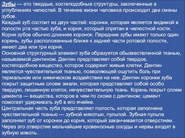 Зубы — это твердые, костеподобные структуры, заключенные в углублениях челюстей. В